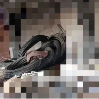 لوله آب 1/5 اینچ کلاف صدمتری کامل نو نو