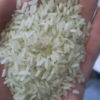 برنج‌فجر پنج ستاره