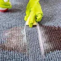 تولید و فروش شامپو فرش ، شامپو مبل ، لکه بر قوی