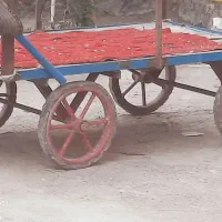 فروش لوازم شخصی|ماشینآلات صنعتی|زابل, |دیوار