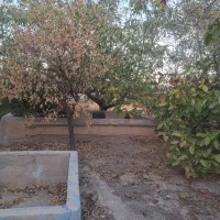 خانه مسکونی و باغچه