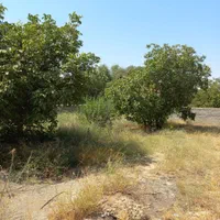 زمین۳۹۸م تهراندشت /سهیلیه /کردان زیرقیمت باکنتور|فروش زمین و ملک کلنگی|کرج, کوی کارمندان جنوبی|دیوار