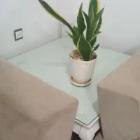 مبلمان|مبلمان خانگی و میز عسلی|کوهدشت, |دیوار