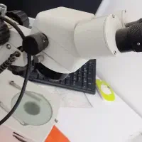 لوپ لوازم تعمیرات موبایل|لوازم جانبی موبایل و تبلت|سبزوار, ولیعصر (نجار آباد)|دیوار