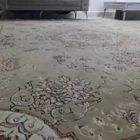 قالی درحد نو