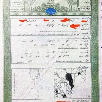 مزارع-بادام-میوه