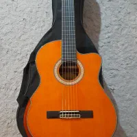 گیتار کلاسیک پیکاپدار نو