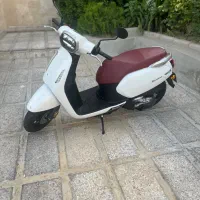 بنلی پانارا ۱۲۵