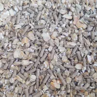 دان گاوی‌ و گوسفندی هم پرواری هم شیری با سویا