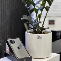 iphone 12 pro max 256 zaa از دم قسط و نقدی