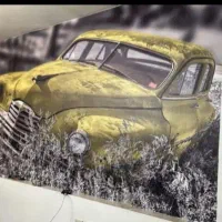 نصاب کاغذ دیواری|خدمات پیشه و مهارت|تهران, مشیریه|دیوار