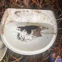 فرنگی و روشویی|لوازم سرویس بهداشتی|صومعه‌سرا, |دیوار