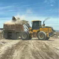 خاکبرداری ، بستر سازی ، تخریب ، شفته|خدمات پیشه و مهارت|کرمان, |دیوار