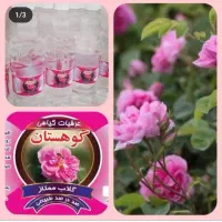 گلاب دوآتیشه اصل ۴۰ کیلویی