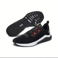 کتونی پوما هیبرید|کیف، کفش، کمربند|مشگین شهر, |دیوار