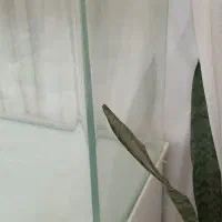 اکواریوم فروشی شرکتی  دلسا  شیشه خم