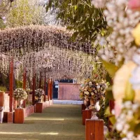 تشریفات عروسی ورودی رایگان