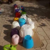 گلدان پلاستیکی وسفالی|گل و گیاه طبیعی|شاهین‌شهر, فردوسی|دیوار