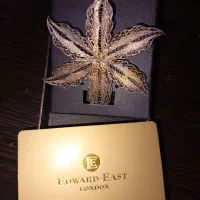 سنجاق سینه نقره