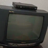 تلویزیون