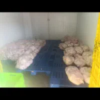 ران|خدمات پذیرایی، مراسم|کوهدشت, |دیوار