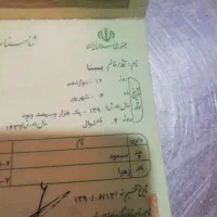 شناسنامه پیدا شده یسنا