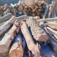 خریدار همه نوع چوب