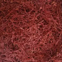 نگین زعفران امسالی