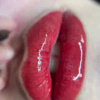 شیدینگ لب(تینت لب دائم )|خدمات آرایشگری و زیبایی|تربتحیدریه, مظفریه|دیوار