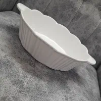 ظرف پذیرایی نو