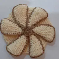 اسکاچ و دستگیره|لوازم نظافت|اهواز, سلطانمنش|دیوار