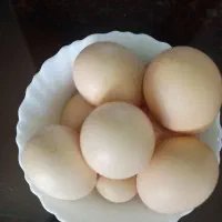 تخم مرغ مرندی اصل