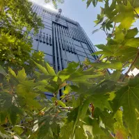 نماشویی وشستشوی ساختمان با طناب