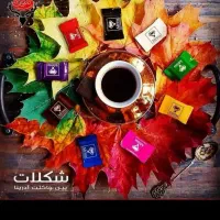 همکاری،شراکت وسرمایهگذاری مطمئن در بازار|استخدام مالی، حسابداری، حقوقی|قم, پردیسان|دیوار