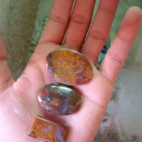 شجرهای پاییزی