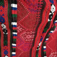 دوزنده زیاستین هستم