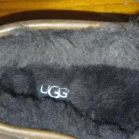 اسلیپرز برند استرالیایی UGG|کیف، کفش، کمربند|تهران, میرداماد|دیوار