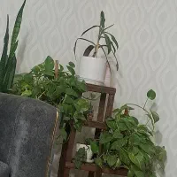 نیاز-مند-منزل