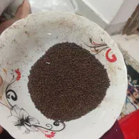 چای عراقی|خوردنی و آشامیدنی|کارون, |دیوار