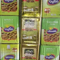 حلب خیارشور