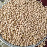 نخوددرجه یک