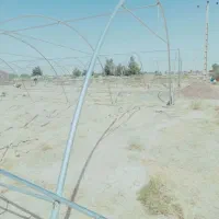 سازه گلخانه