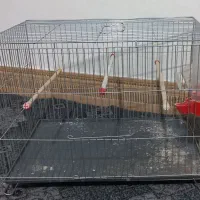 قفس پرنده ۲۵۰ تومان