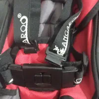 کالسکه|کالسکه و لوازم جانبی|لنگرود, |دیوار