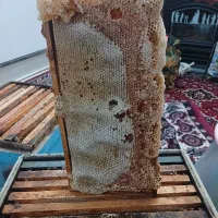 عسل طبیعی..
