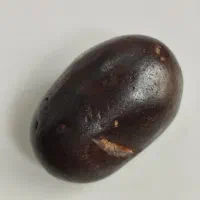 سنگ قدیمی یا شهاب سنگ