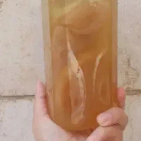 نوشیدنی و قارچ کامبوجا لاغری و چربی سوز|آرایشی، بهداشتی، درمانی|مشهد, فاطمیه|دیوار