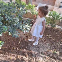 تدریس خصوصی دروس دبستان کاملا تضمینی و منصفانه