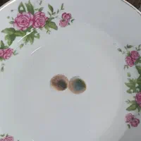 مووهره قدیمی بضمانت معامله با نقرجات انگشترو..|کلکسیون اشیاء عتیقه|کرمان, |دیوار