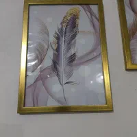 تابلو طرح پر|تابلو، نقاشی، عکس|گنبد کاووس, |دیوار